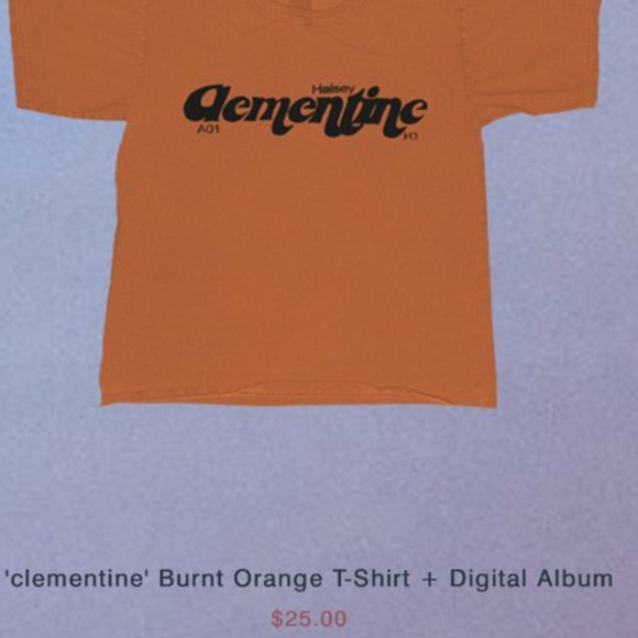 ISO: HALSEY MERCH - Picture 2 of 5